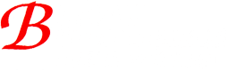 Burak Nakliyat Logo